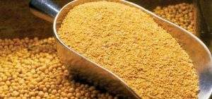 brazils-soybean-meal-exports-forecast-to-grow-500x500